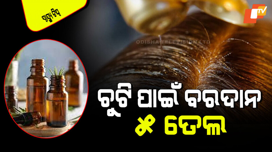 Hair Care Tips: ଚୁଟି ପାଇଁ ରାମବାଣ ଏହି ୫ ତେଲ; ଜାଣନ୍ତୁ କେତେବେଳେ, କିପରି କରିବେ ବ୍ୟବହାର