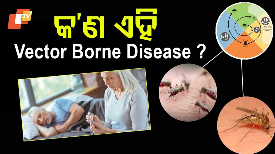 Vector Borne Diseases in Summer: ଗ୍ରୀଷ୍ମ ଋତୁରେ ମଶା-ମାଛି ଜନିତ ରୋଗରୁ ସୁରକ୍ଷାର ଉପାୟ 