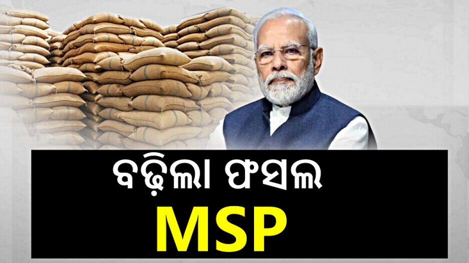 Govt Hikes MSP of Kharif Crops: ଚାଷୀଙ୍କ ପାଇଁ ଖୁସି ଖବର, ୬୯ ଟଙ୍କା ବଢିଲା ଧାନର MSP