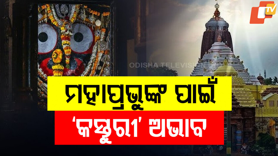 ଶ୍ରୀଜିଉଙ୍କ ବନକଲାଗି ପାଇଁ ଅଭାବ ପଡୁଛି କସ୍ତୁରୀ