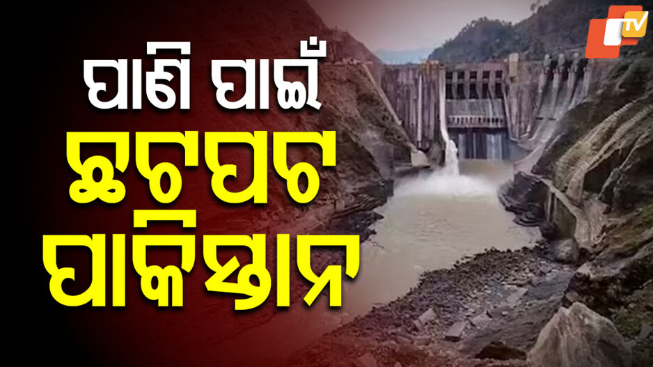 Water Crisis: ସିନ୍ଧୁ ଚୁକ୍ତି ସ୍ଥଗିତ ପରେ ପାକିସ୍ତାନରେ ଦେଖା ଦେଲାଣି ମରୁଡ଼ି, ପାଣି ଅଭାବରୁ ଶୁଖି ଗଲାଣି ଚାଷ ଜମି
