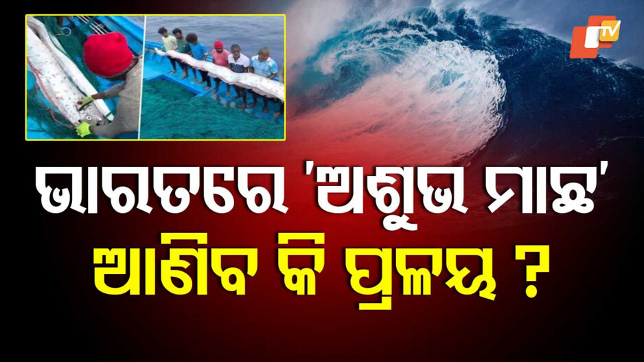 Doomsday Fish: ଭାରତରେ ମିଳିଲା 'ଅଶୁଭ ମାଛ', ଯାହାକୁ ଦେଖିଲେ ଆସିଥାଏ ପ୍ରଳୟ !