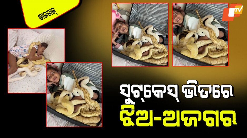 Viral Video: ସୁଟ୍‌କେସ୍ ଖୋଲିଲା; ଭିତରୁ ବାହାରିଲା ୫ ବର୍ଷର ଝିଅ ଆଉ ଅଜଗର