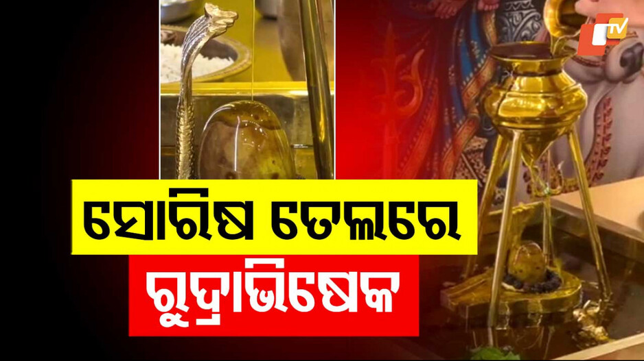 Rudra Visekha: ମନ୍ତ୍ର ଧ୍ୱନିରେ କମ୍ପୁଛି ଶୈବପୀଠ; ସୋରିଷ ତେଲରେ ଚାଲିଛି ମହାଦେବଙ୍କ ରୁଦ୍ରାଭିଷେକ
