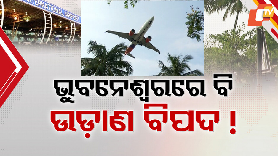 Bhubaneswar airport: ବିମାନ ବନ୍ଦରକୁ ବିପଦ ବଡ଼ ବଡ଼ ଗଛ ଆଉ ବେଆଇନ ନିର୍ମାଣ