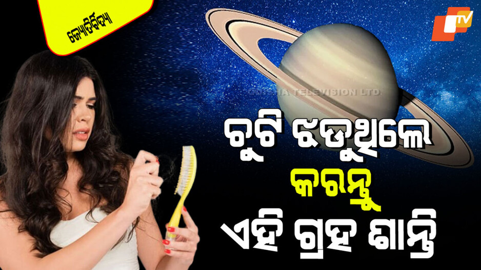 Hair Loss Solutions: ଯେତେ ଚେଷ୍ଟା କଲେ ବି ଚୁଟି ଝଡିବା ବନ୍ଦ ହେଉନି; କରନ୍ତୁ ଏହି ଗୋଟିଏ କାମ, ହୋଇଯିବ ସମାଧାନ