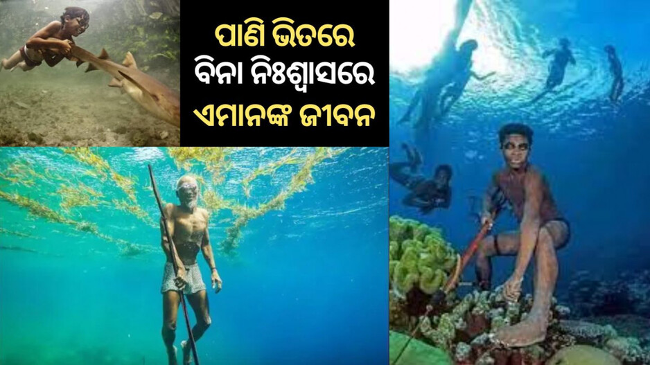 Bajau Tribe: ପାଣିରେ ଜନ୍ମ ପାଣିରେ ମୃତ୍ୟୁ, ଏକ ବିଚିତ୍ର ଜନଜାତିର ଜୀବନ କାହାଣୀ