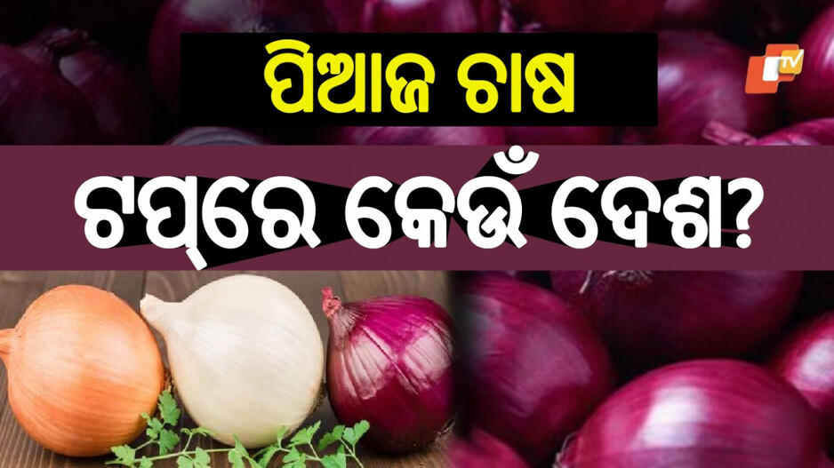 Largest Producer of Onion: ବିଶ୍ୱରେ ପିଆଜ ଉତ୍ପାଦନରେ କେଉଁ ଦେଶ ନମ୍ବର ୱାନ୍ ? ଜାଣିଲେ ହୋଇଯିବେ ଆଶ୍ଚର୍ଯ୍ୟ