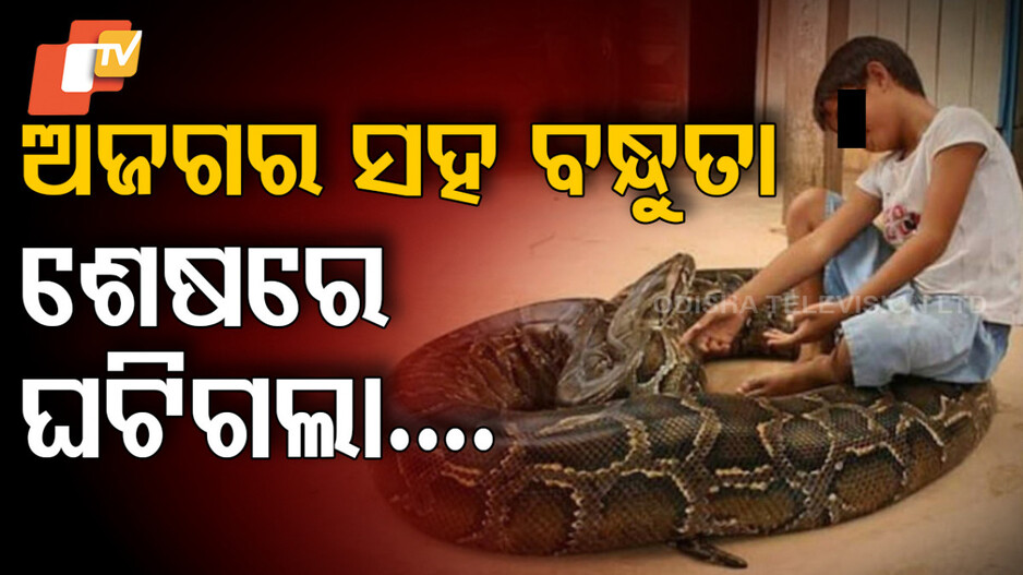 Friendship With Python: କିଭଳି ଗଢିଉଠିଲା ଏ ସଂପର୍କ, ପୂର୍ବରୁ ମିଳିଥିଲା ସଙ୍କେତ
