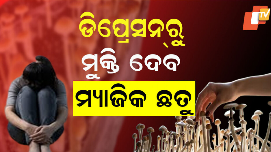 One Dose Of 'Magic Mushrooms': ଡିପ୍ରେସନରୁ ମୁକ୍ତି ଦେବ ‘ମ୍ୟାଜିକ୍ ଛତୁ’ର ଗୋଟିଏ ଡୋଜ୍ 