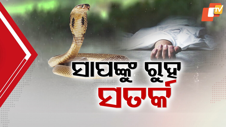 ସାପ କାମୁଡ଼ିଲେ କରିବେ କ'ଣ ?