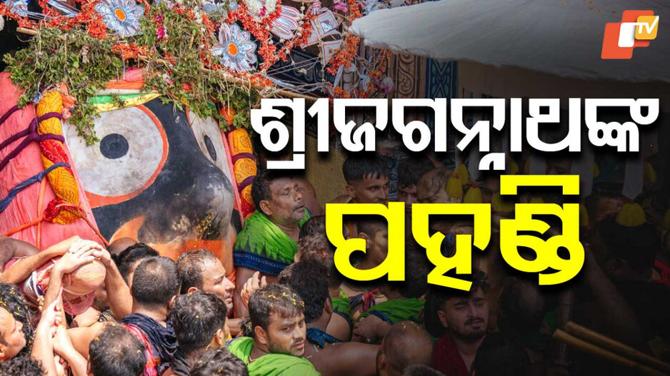 Ratha Yatra 2025: ଆରମ୍ଭ ହେଲା ମହାପ୍ରଭୁଙ୍କ ପହଣ୍ଡି, ଝୁଲି ଝୁଲି ଆସୁଛନ୍ତି କାଳିଆ ସାଆନ୍ତ