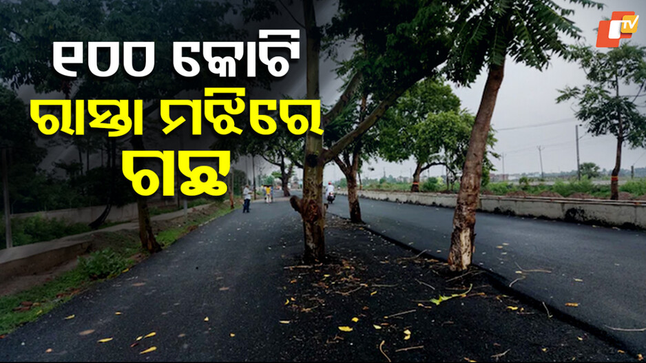 Road Construction: ୧୦୦ କୋଟି ଟଙ୍କାରେ ହେଲା ରାସ୍ତା କାମ, ହେଲେ ରାସ୍ତା ଉପରେ ରହିଗଲା ଗଛ; ଆଶ୍ଚର୍ଯ୍ୟ କରୁଛି... 