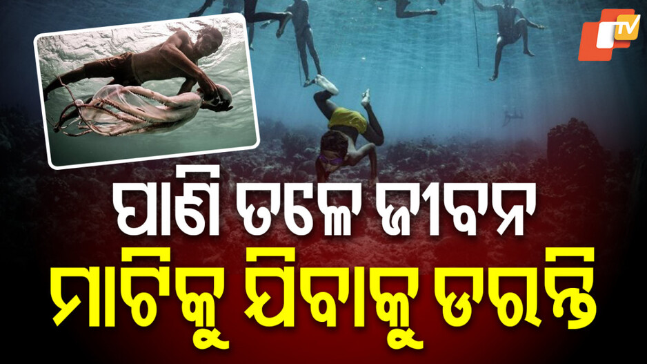 Life Of Bajau Tribe : ପାଣିରେ ଜନ୍ମ, ପାଣିରେ ମୃତ୍ୟୁ...ବିଚିତ୍ର ଜନଜାତିର ଆଶ୍ଚର୍ଯ୍ୟ କାହାଣୀ