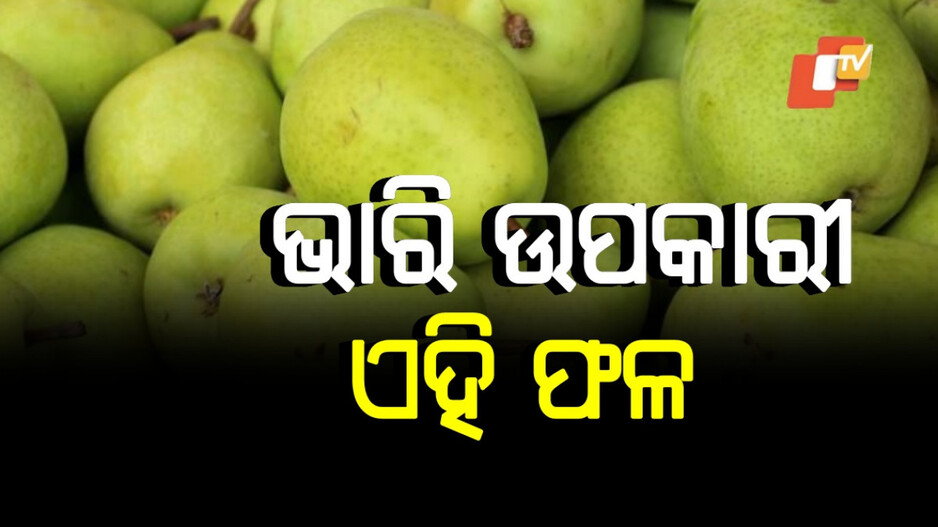Pear fruits: ଓଜନ ହ୍ରାସରୁ ହୃଦରୋଗ ଯାଏଁ ସବୁ କରିଦେବ ମୂଳପୋଛ, ଶରୀର ପାଇଁ ବରଦାନ ଏହି ଫଳ...