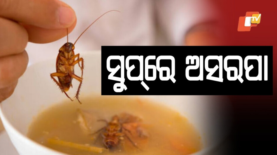 Cockroach Found in Soup: ସୁପ୍‌ରୁ ବାହାରିଲା ଅସରପା, ହୋଟେଲ ମ୍ୟାନେଜରଙ୍କ ନାଁରେ ମାମଲା ରୁଜୁ