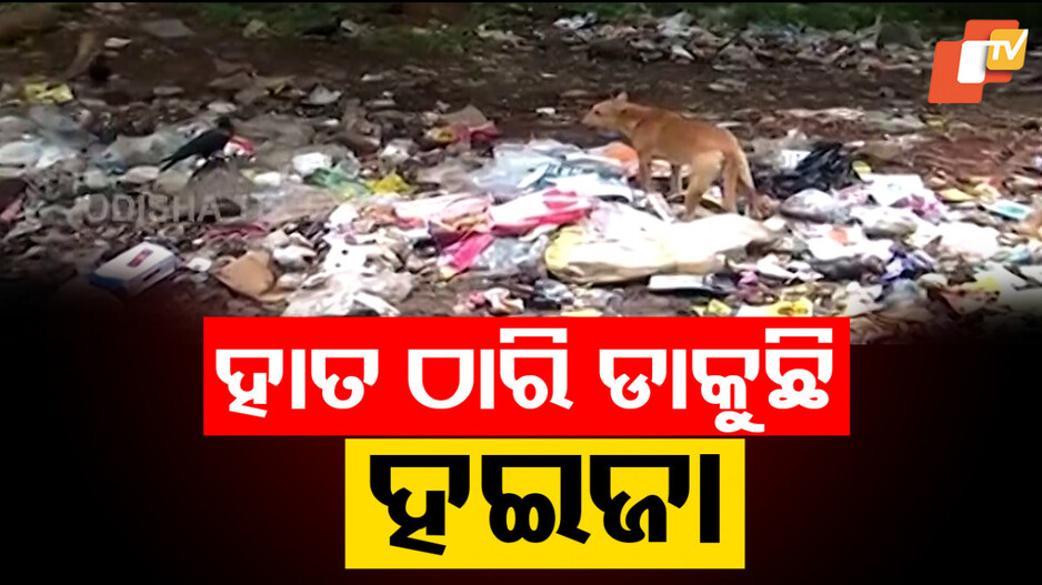 Cholera Outbreak: ହଇଜାକୁ ହାତଠାରି ଡାକୁଛି ଜୟପୁର; ବିପର୍ଯ୍ୟସ୍ତ ପରିମଳ ବ୍ୟବସ୍ଥା!