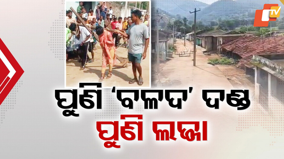 ବଳଦ ଦଣ୍ଡର ରିପିଟ୍; ସଂପର୍କୀୟଙ୍କୁ ପ୍ରେମ ବିବାହ ପାଇଁ କାନ୍ଧରେ ଜୁଆଳି ଲଗାଇ ହଳ କରେଇଲେ