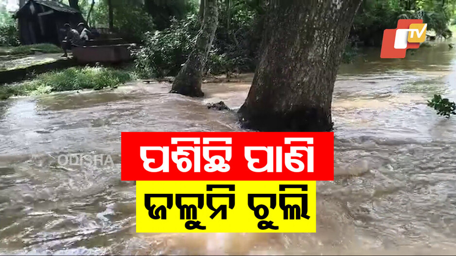 ବଢ଼ିବାରେ ଲାଗିଛି ବନ୍ୟା ବିତ୍ପାତ; ୩ ଦିନ ଧରି କାହା ଘରେ ଜଳିନି ଚୁଲି...