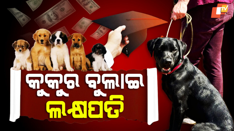 କୁକୁର ବୁଲାଇ ଲକ୍ଷପତି