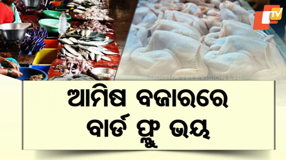 ବାର୍ଡ ଫ୍ଲୁ ଭୟ, ମାନ୍ଦା ଅଣ୍ଡା ଓ ଚିକେନ୍ ବେପାର