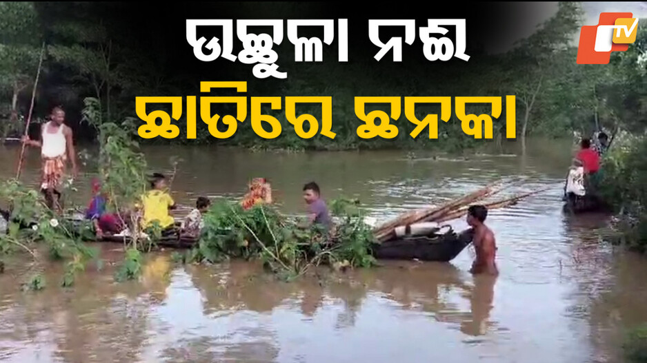 Flood Havoc in Balasore: ସୁ...ସୁ...ଗର୍ଜୁଛି ସୁବର୍ଣ୍ଣରେଖା; ଉଚ୍ଛୁଳୁଛି ନଈ, ଜଳବନ୍ଦୀ ଲୋକେ...