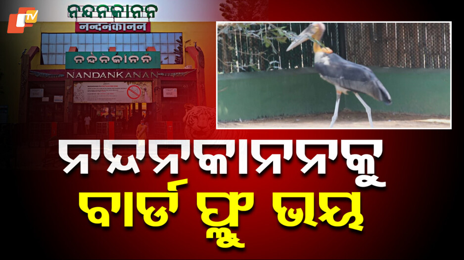 Bird Flu Scare at Nandankanan: ନନ୍ଦନକାନନକୁ ବାର୍ଡ ଫ୍ଲୁ ଭୟ; ଆଗୁଆ ଆପଣେଇଲେ ସତର୍କତା...