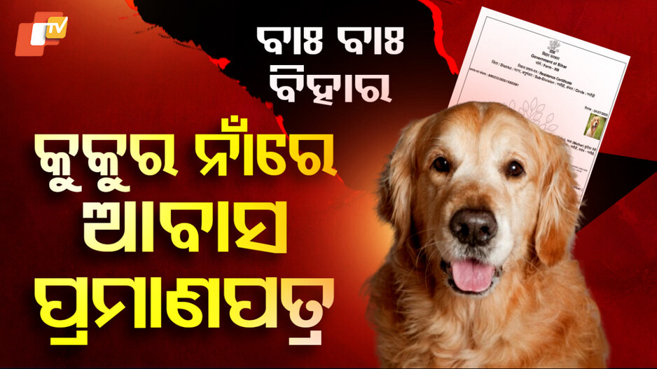 କୁକୁର ନାଁରେ ରେସିଡେନ୍ସ ସାର୍ଟିଫିକେଟ