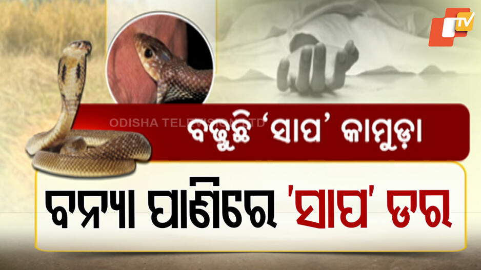 Health Alert Issued: ବନ୍ୟା ପାଣିରେ ‘ସାପ’ ଡର; ଜନସ୍ୱାସ୍ଥ୍ୟ ବିଭାଗ ପକ୍ଷରୁ ସତର୍କ ସୂଚନା ଜାରି...