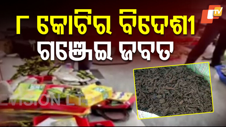 Ganja Seized: ଭୁବନେଶ୍ୱର ବିମାନବନ୍ଦରରୁ ଥାଇଲାଣ୍ଡ ଗଞ୍ଜେଇ ଜବତ