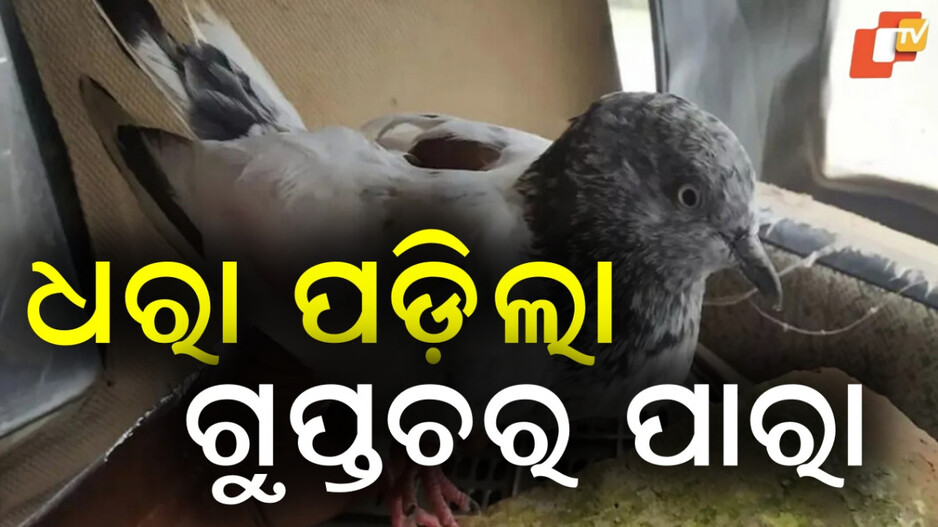 India Pakistan:ଭାରତ-ପାକ୍‌ ସୀମାରୁ ଧରା ପଡ଼ିଲା ଗୁପ୍ତଚର ପାରା...ମିଳିଲା IED ବିସ୍ଫୋରଣର ଧମକପୂର୍ଣ୍ଣ ଚିଠି