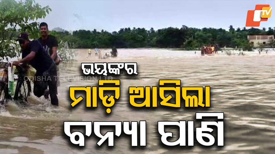 ଉବୁଟୁବୁ ହେଉଛି ଯାଜପୁର-ଭଦ୍ରକ: ଅସହାୟ ମଣିଷ, ଅଖିଆ ଅପିଆ ଗୃହପାଳିତ ପଶୁ