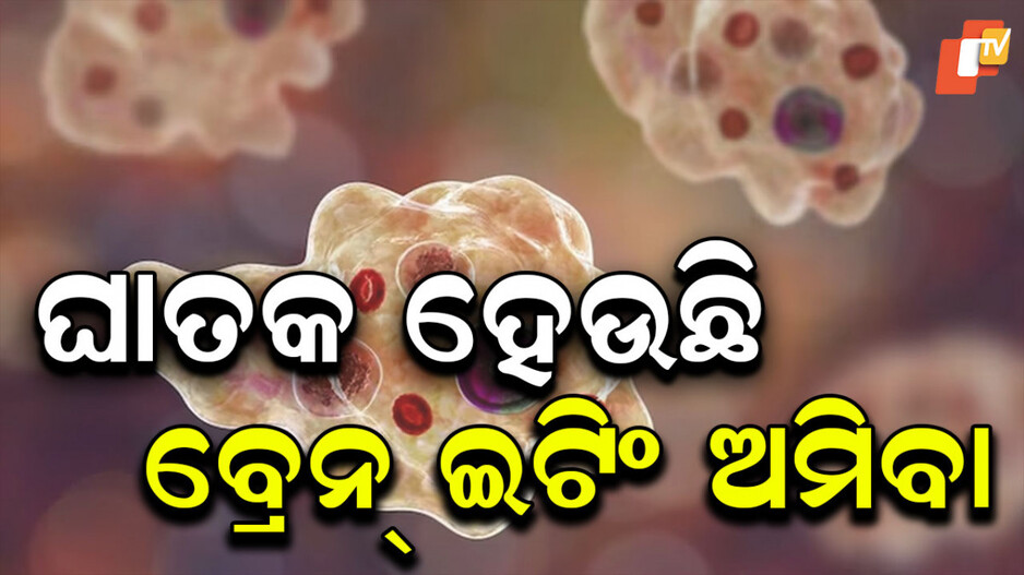Brain-Eating Amoeba: ଘାତକ ହେଉଛି ବ୍ରେନ୍ ଇଟିଂ ଅମିବା, ନେଲାଣି ୩ ଜୀବନ