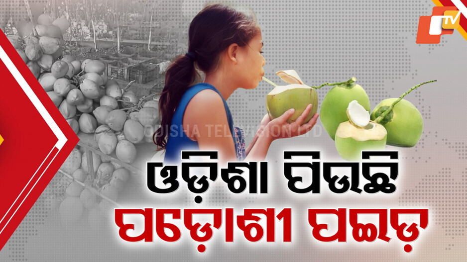 Coconut Market: ଓଡ଼ିଶା ବଜାରରେ ରାଜୁତି କରୁଛି ଆନ୍ଧ୍ର ପଇଡ଼; ଦାମ୍ ବେଶୀ, କମ୍ ମିଠା