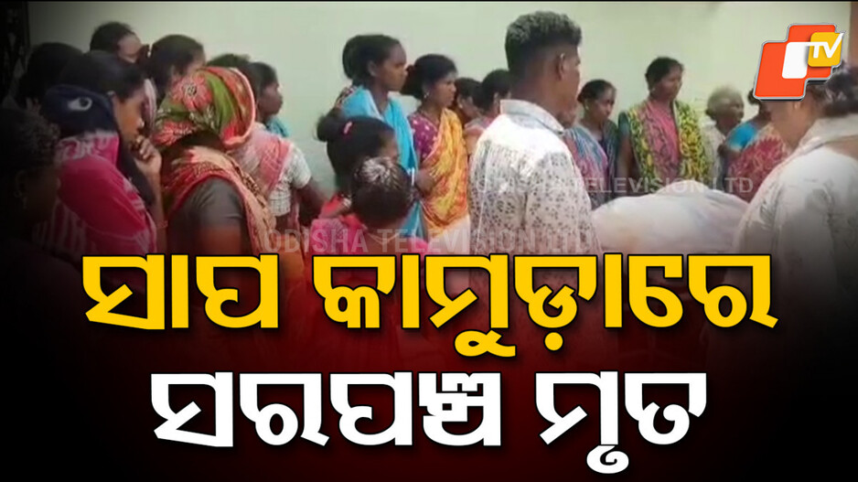 Snake BIte: ସାପ କାମୁଡାରେ ସରପଞ୍ଚଙ୍କ ମୃତ୍ୟୁ