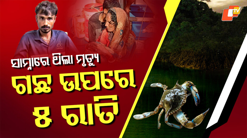 Missing In Forest: ଲୋଭ, ବନ୍ୟ ପ୍ରାଣୀଙ୍କ ଭୟ.... ଘଞ୍ଚ ଜଙ୍ଗଲରେ ୫ ରାତି