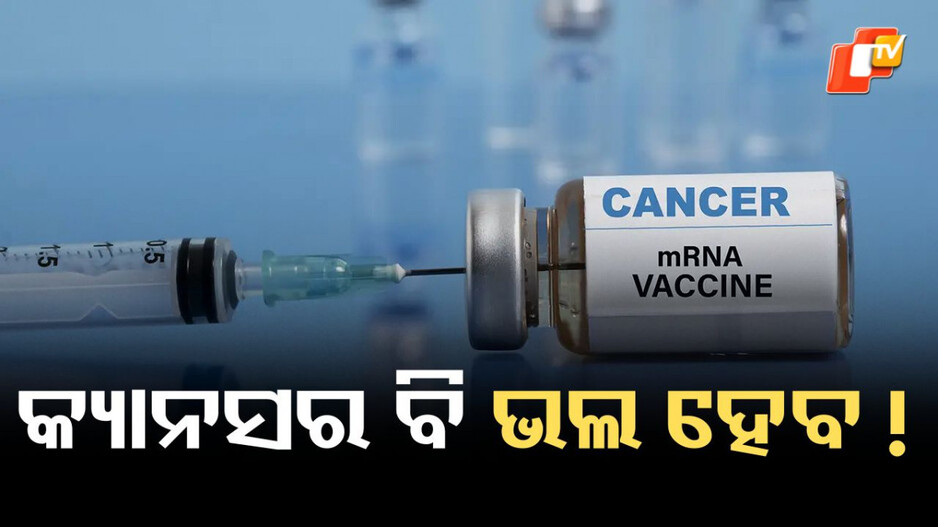 Cancer Vaccine: ଶରୀରରେ କେମିତି କାମ କରିବ କ୍ୟାନସର ଭ୍ୟାକସିନ୍ ? ପଢ଼ନ୍ତୁ ଗୋଟିଏ କ୍ଲିକରେ