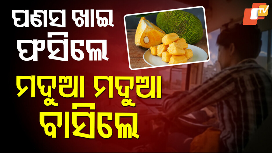 ଡ୍ରାଇଭର ପିଇନଥିଲେ ମଦ, ଫସେଇ ଦେଲା ପାଚିଲା ପଣସ