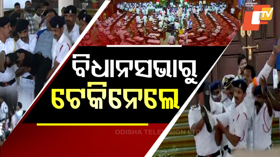 ବିଧାନସଭାରୁ_ଟେକିନେଲେ