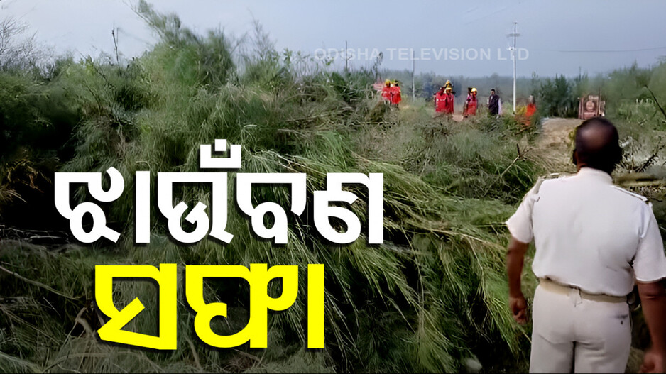 Protest Over Coastal Safety: ସୌନ୍ଦର୍ଯ୍ୟକରଣ ପାଇଁ ବଳି ପଡୁଛି ଝାଉଁ ଗଛ; ସ୍ଥାନୀୟ ଲୋକଙ୍କ ବିରୋଧ