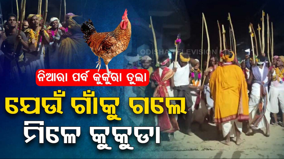 ନିଆରା ପର୍ବ କୁକୁରା ତୁଲା: ଷ୍ଟ୍ରିପ୍ ଯେଉଁ ଗାଁକୁ ଗଲେ ମିଳେ କୁକୁଡା
