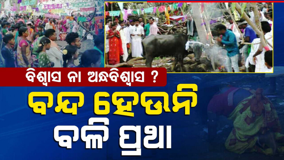 ବିଶ୍ୱାସ ନା ଅନ୍ଧବିଶ୍ୱାସ ? ବନ୍ଦ ହେଉନି ବଳି ପ୍ରଥା...