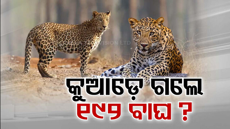 ରାଜ୍ୟରେ କମିଲେ କଲରାପତରିଆ ! ୨୦୧୮ରେ-୭୬୦, ୨୦୨୨ରେ-୫୬୮