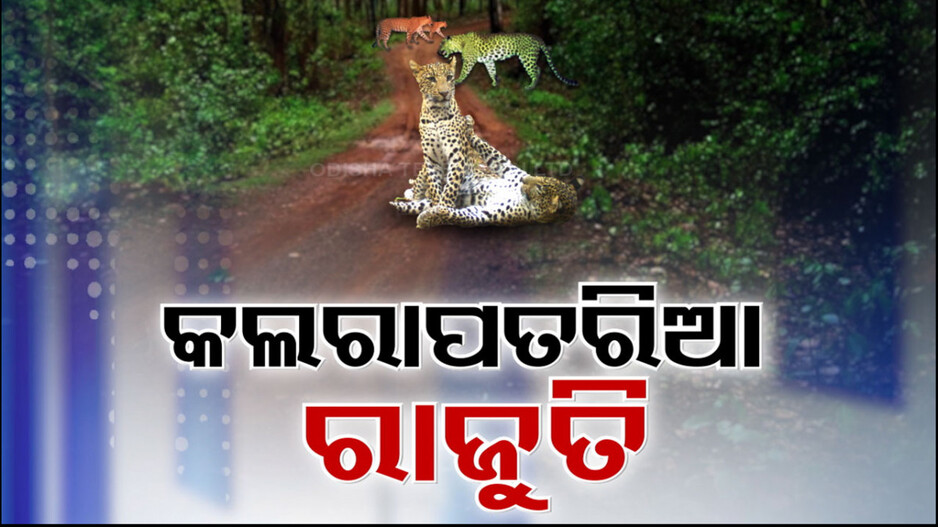 ଦୁଇ ବର୍ଷରେ ସଂଖ୍ୟା ବଢ଼ିଛି ୧୨୮ ! ୨୦୨୨ ରେ ଥିଲେ ୫୬୮, ଏବେ ୬୯୬