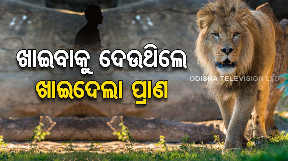 ଥିଲା ସେ ଅତି ପରିଚିତ, ପୁଅ ପରି ପାଳୁଥିଲେ...କିନ୍ତୁ ଦିନେ ସେ ହିଁ ନେଲା ପ୍ରାଣ