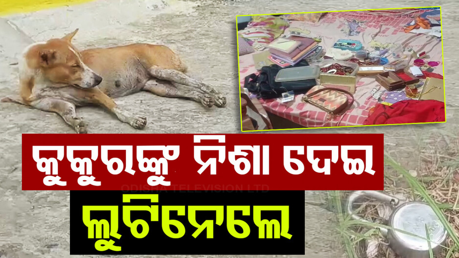 କୁକୁରକୁ ବି ଛାଡ଼ିଲେନି, ନିଶାଦେଇ ଘରୁ ସବୁ ଲୁଟିନେଲେ