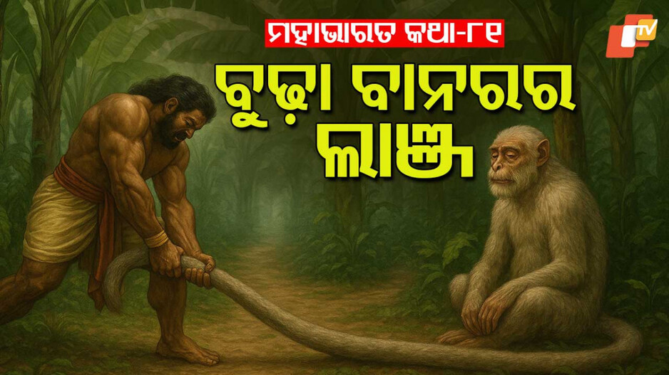 Mahabharat Story: ଦୁଇ ଭାଇଙ୍କ ମିଳନ ଓ ବୁଢ଼ା ବାନରର ବିଶାଳ ରୂପ ଧାରଣର କଥା