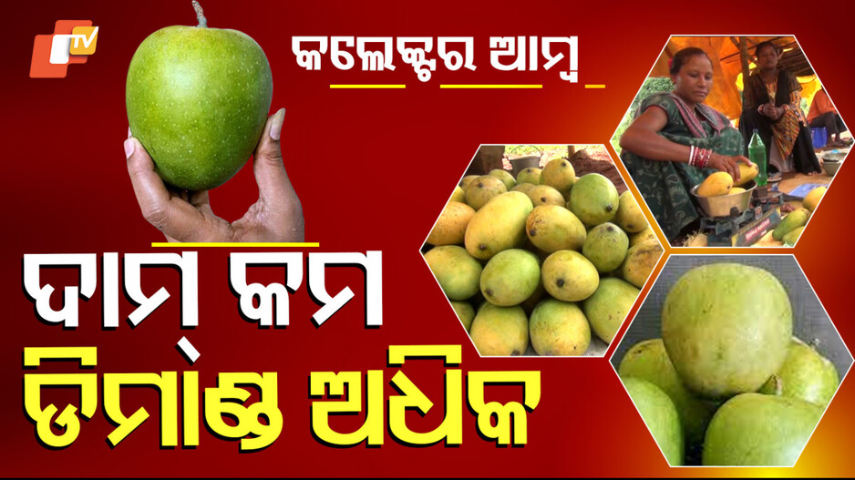 କଲେକ୍ଟର ଆମ୍ୱ ଦାମ୍ କମ, ଡିମାଣ୍ଡ ଅଧିକ