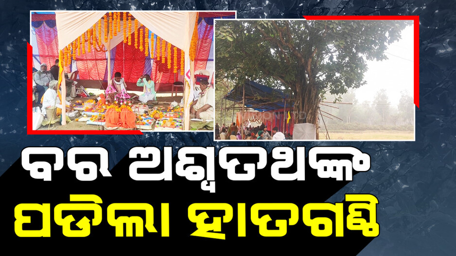 ବର-ଅଶ୍ୱତ୍ଥ ବିବାହ, ମହାଆଡ଼ମ୍ବରରେ ହେଲା ଭୋଜି ଭାତ