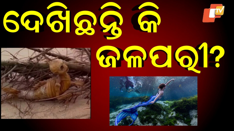 Mermaid:ମିଳିଲା ଜଳପରୀର କଙ୍କାଳ, ବୈଜ୍ଞାନିକ ଦେଖି ଆଶ୍ଚର୍ଯ୍ୟ ହେଉଛନ୍ତି...କିନ୍ତୁ ଜାପାନ ଲୋକ କହୁଛନ୍ତି